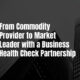 From Commodity Provider to Market Leader with a Business Health Check Partnership